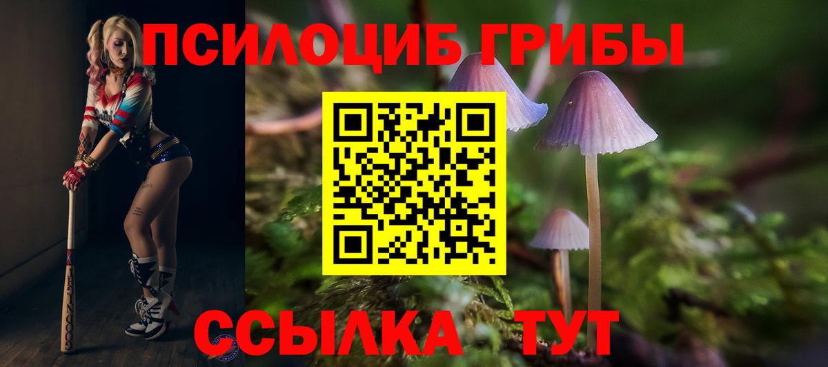 Галлюциногенные грибы Psilocybe  Вход с VPN  Корсаков 